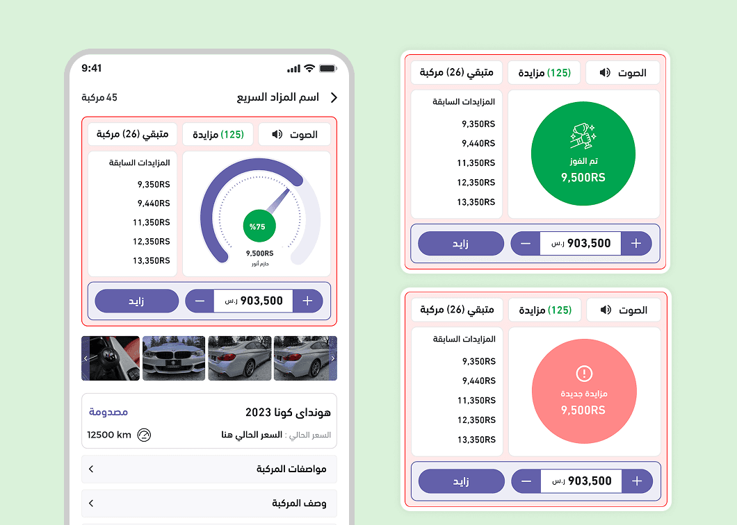 Live Bidding Experience